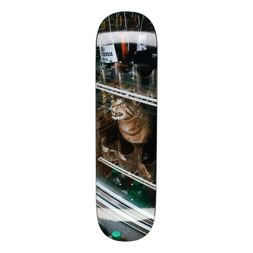 GX1000 Bodega Cat Deck - 8.25