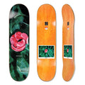 Polar Boserio Amaryllis Deck - 8.375