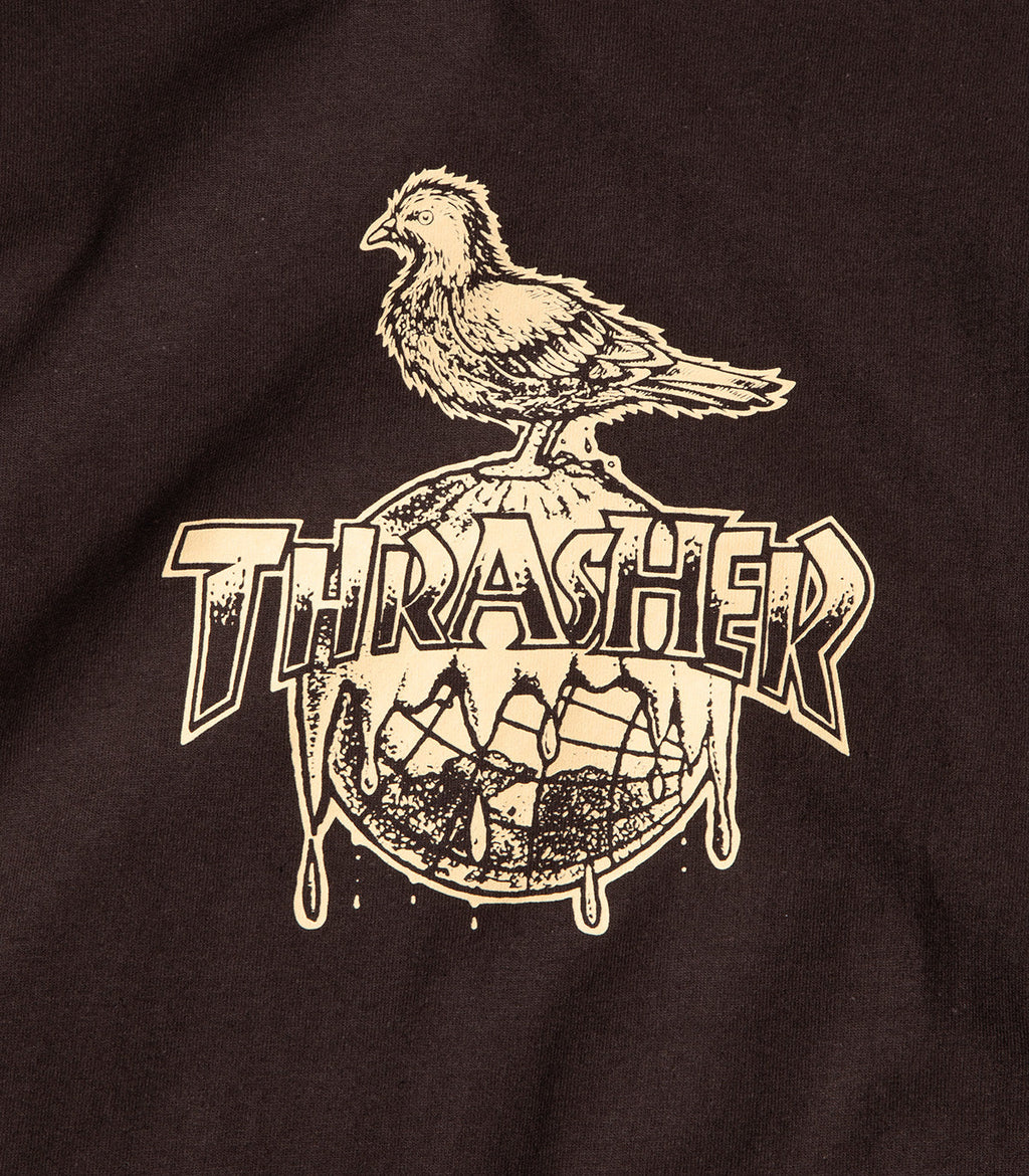 Thrasher X Antihero Cover The Earth T-Shirt
