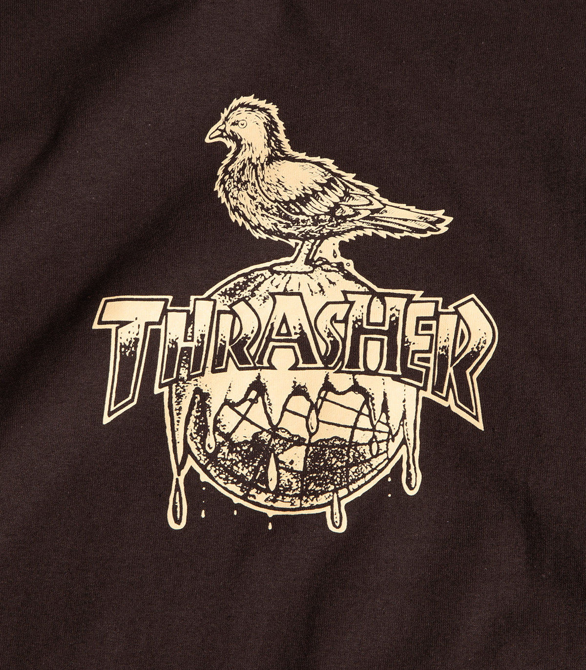 Thrasher X Antihero Cover The Earth T-Shirt