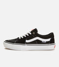 Vans Skate Sk8-Low